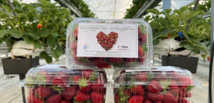 TİKA, Gürcistan'da İki Projenin Açılışını Gerçekleştirdi