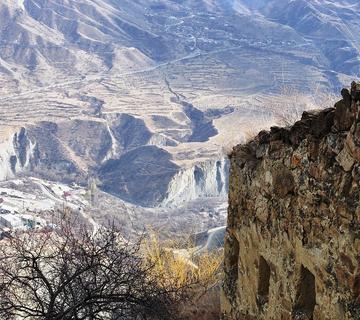 Межрегиональная общественная организация ногайцев "Бирлик"